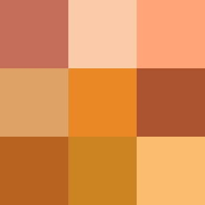 Icon Orange Color