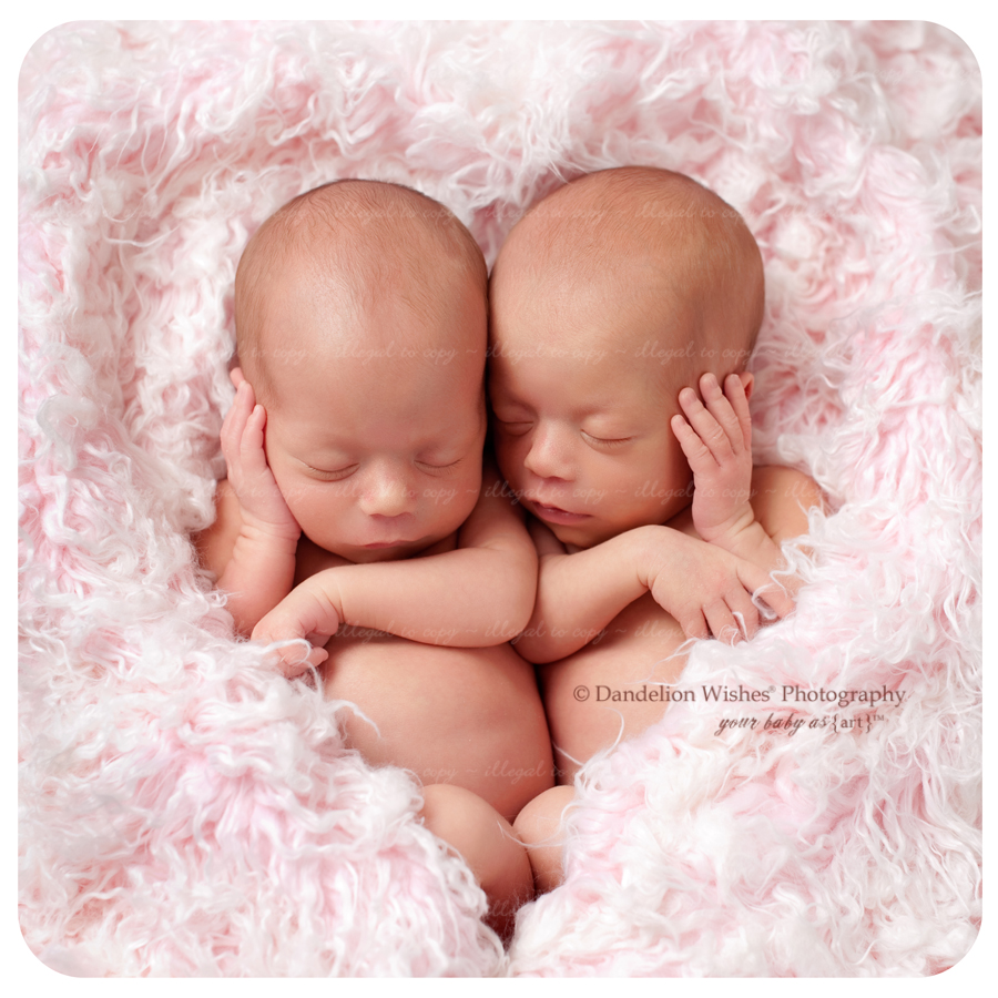Identical Newborn Twin Baby Girls Identical Newborn Twin Baby Girls