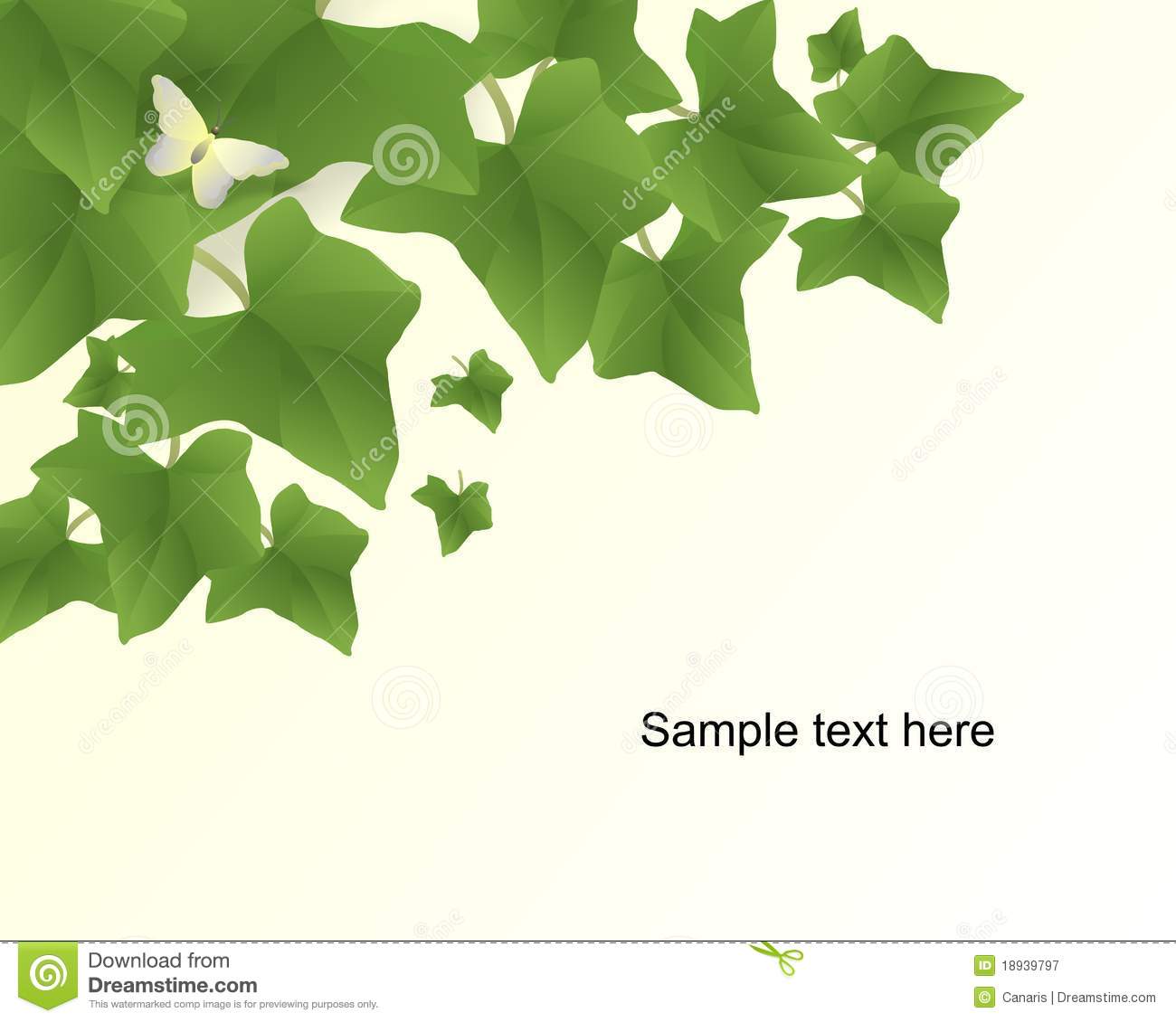 Ivy Leaf Vector