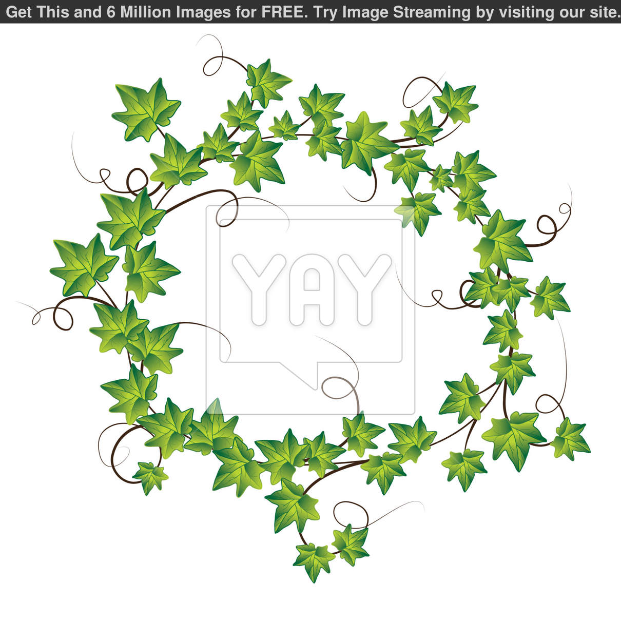 Ivy Leaf Vector