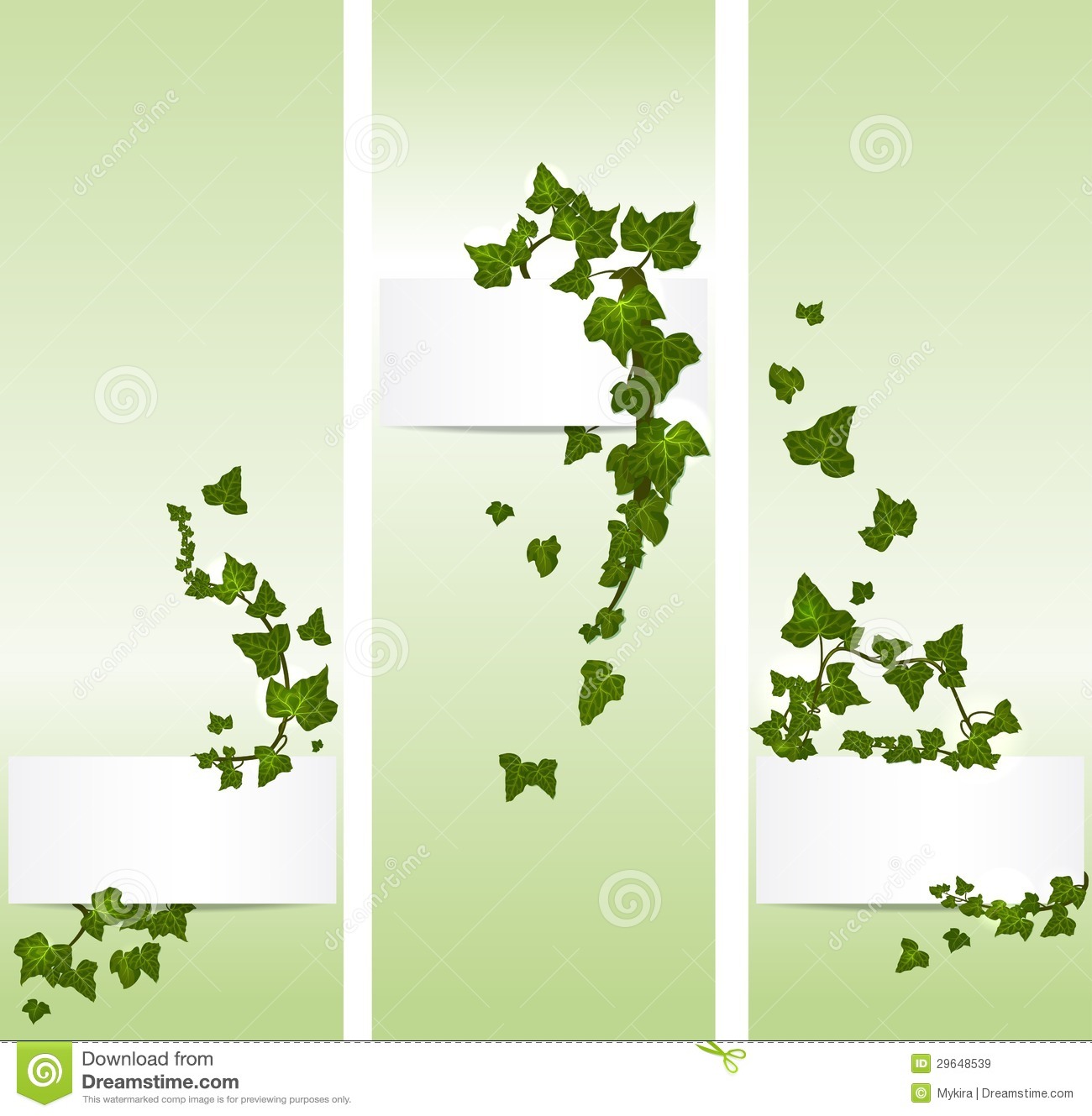 Ivy Leaf Vector