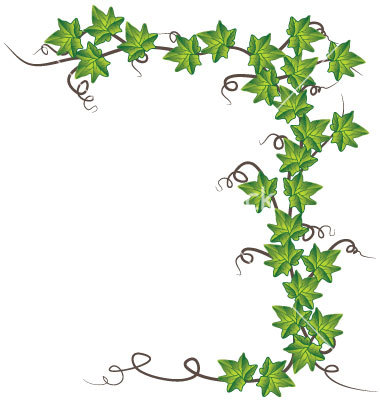 Ivy Vine Clip Art