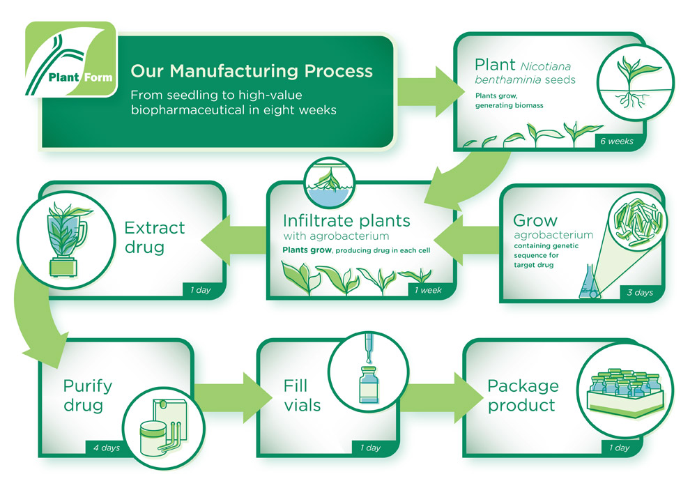 Manufacturing Process Diagram