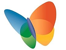 MSN Butterfly Logo MSN Butterfly Logo