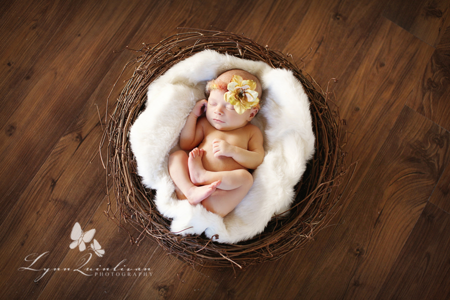 Newborn Baby Girl Photography Ideas