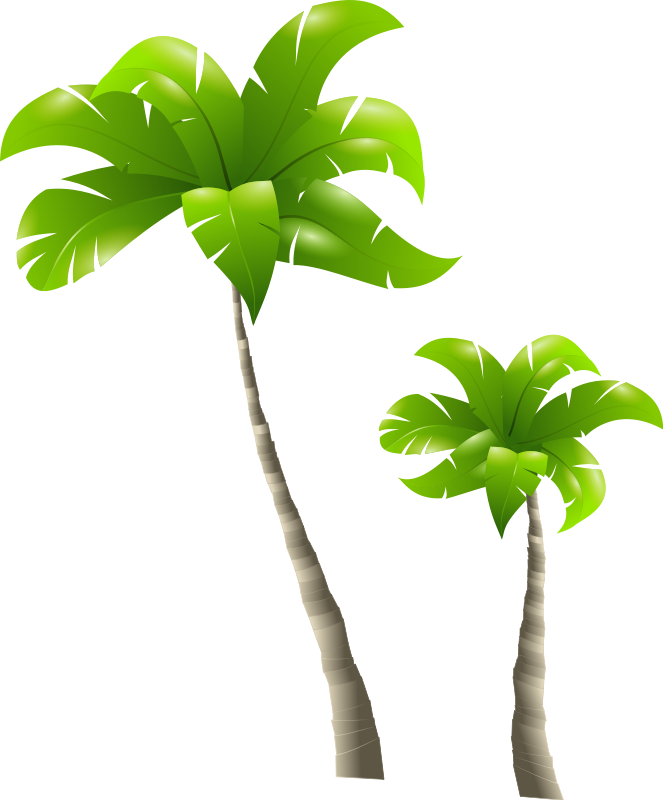 Palm Tree Clip Art