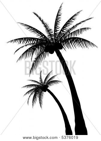 Palm Tree Silhouette Clip Art