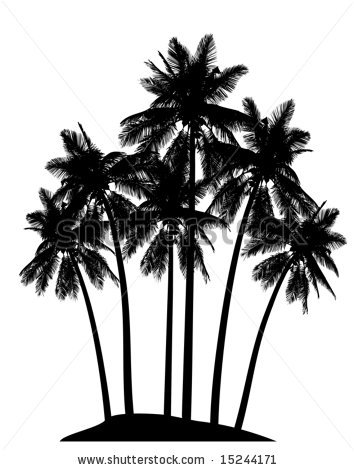 Palm Tree Silhouette Vector