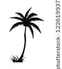 Palm Tree Silhouette Vector