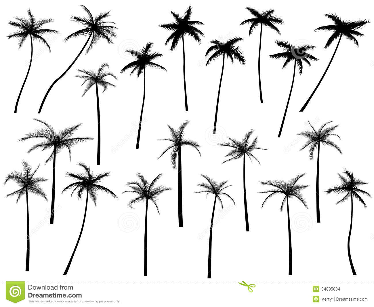 Palm Tree Silhouette Vector