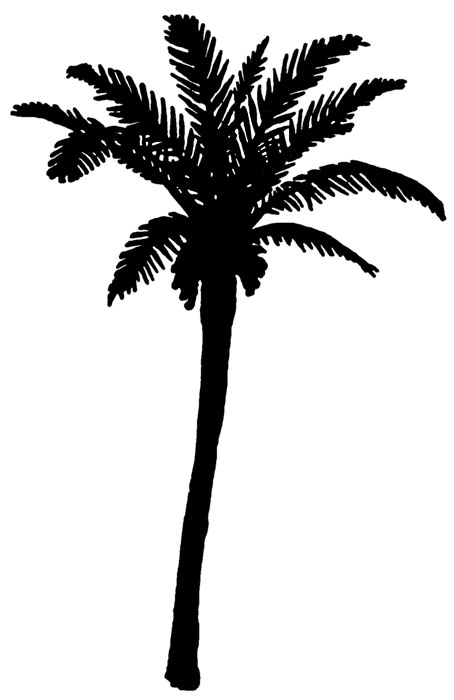 Palm Tree Silhouette