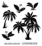 Palm Tree Vector Free