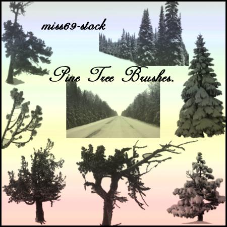 Pine Tree Photoshop Brush Pine Tree Photoshop Brush