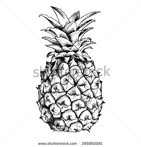 Pineapple Clip Art Black and White