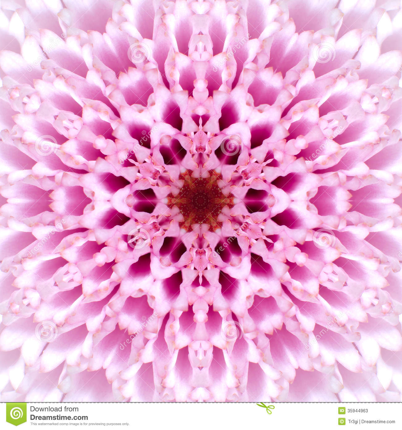 Pink Mandala Flower