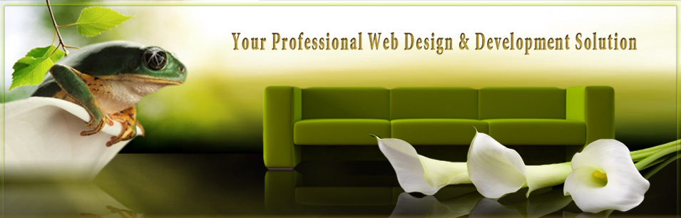 Professional Website Banner
