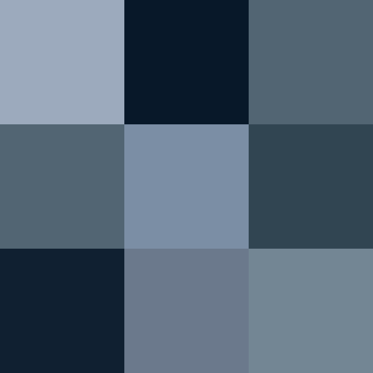 Silver Blue Color Chart