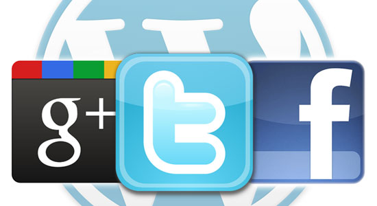 Social Media Icons Facebook Twitter