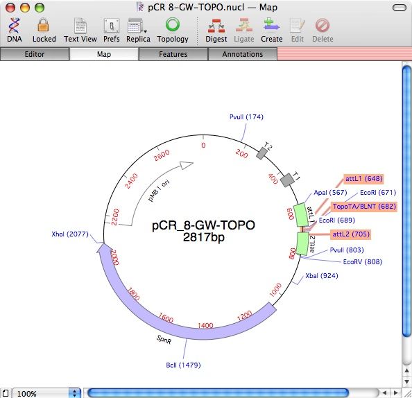 Topo Cloning Vector Map