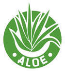 Vector Aloe Vera Plant Vector Aloe Vera Plant