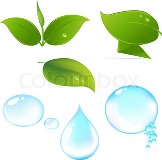 Water Plant Icon