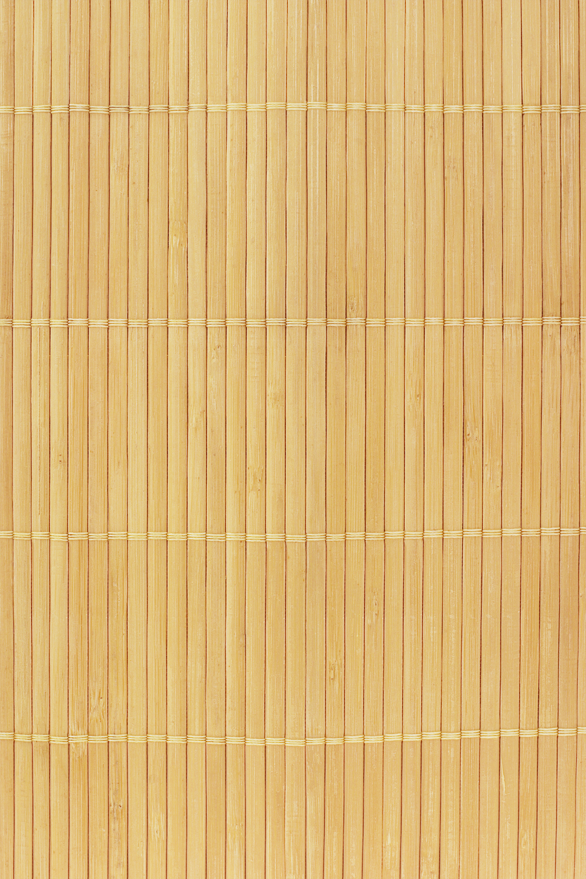 Bamboo Texture