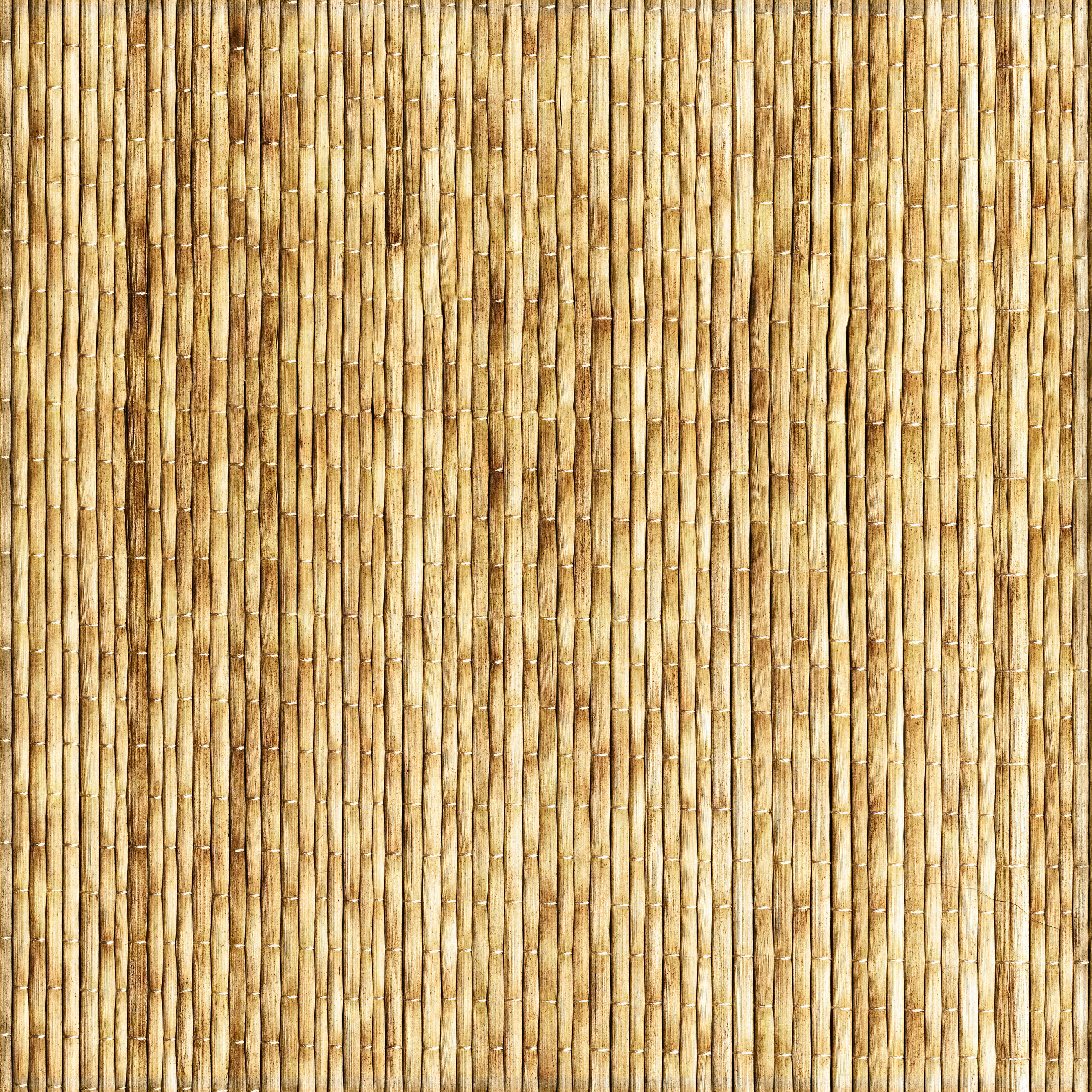 Bamboo Texture