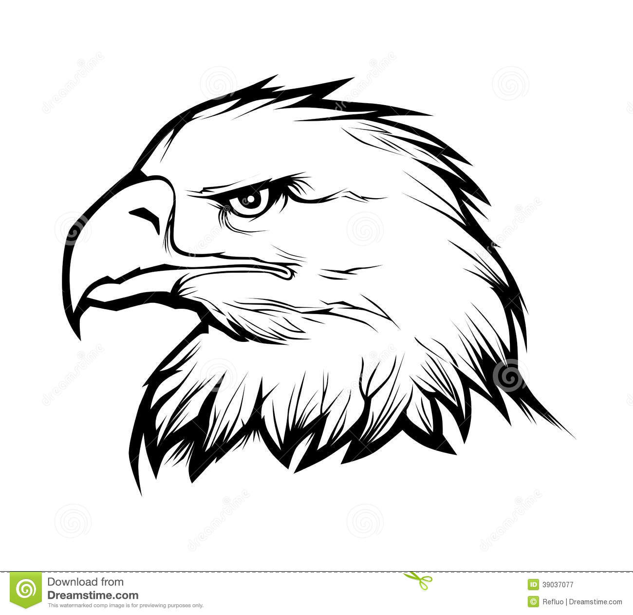 Black and White Eagle Head