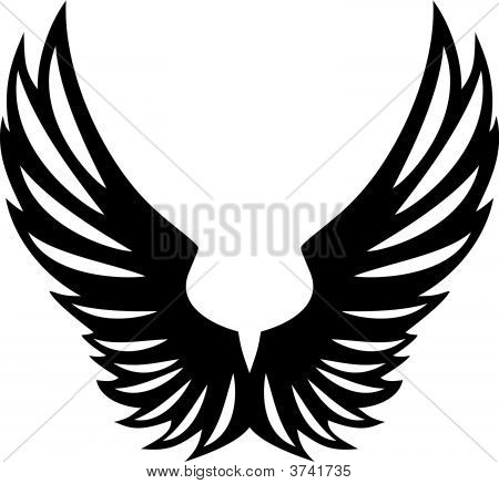 Black and White Eagle Wings