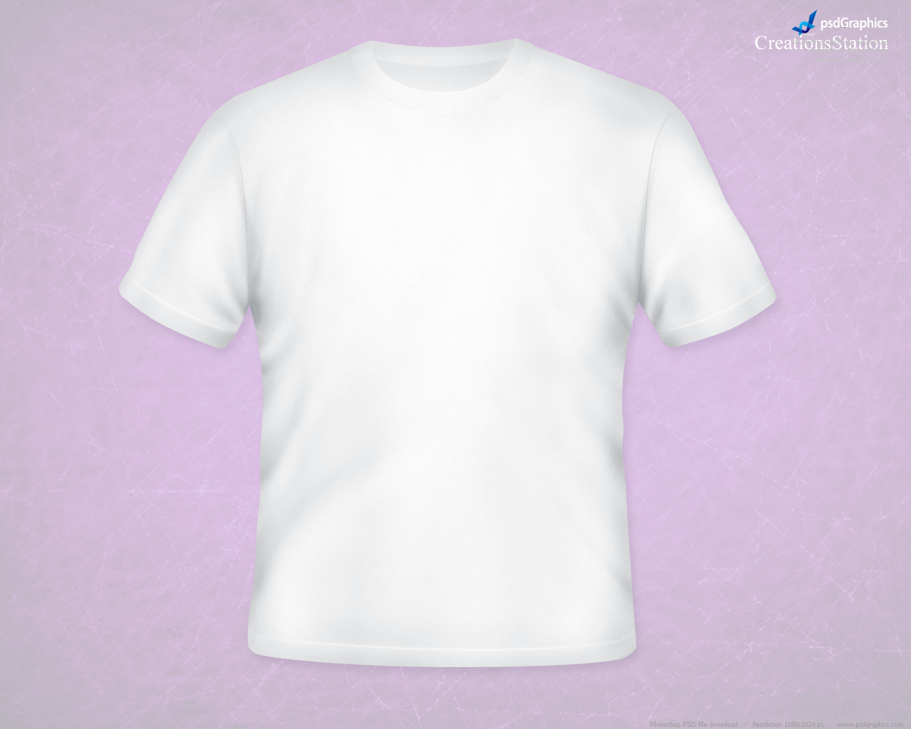 Blank T-Shirt Models