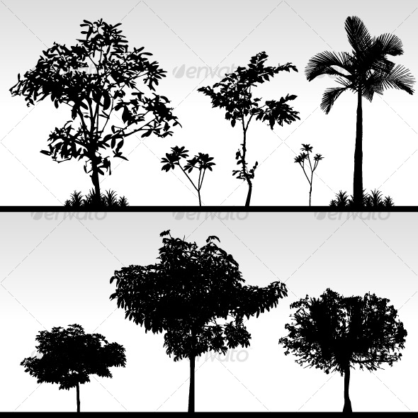 Bush Tree Silhouette Bush Tree Silhouette