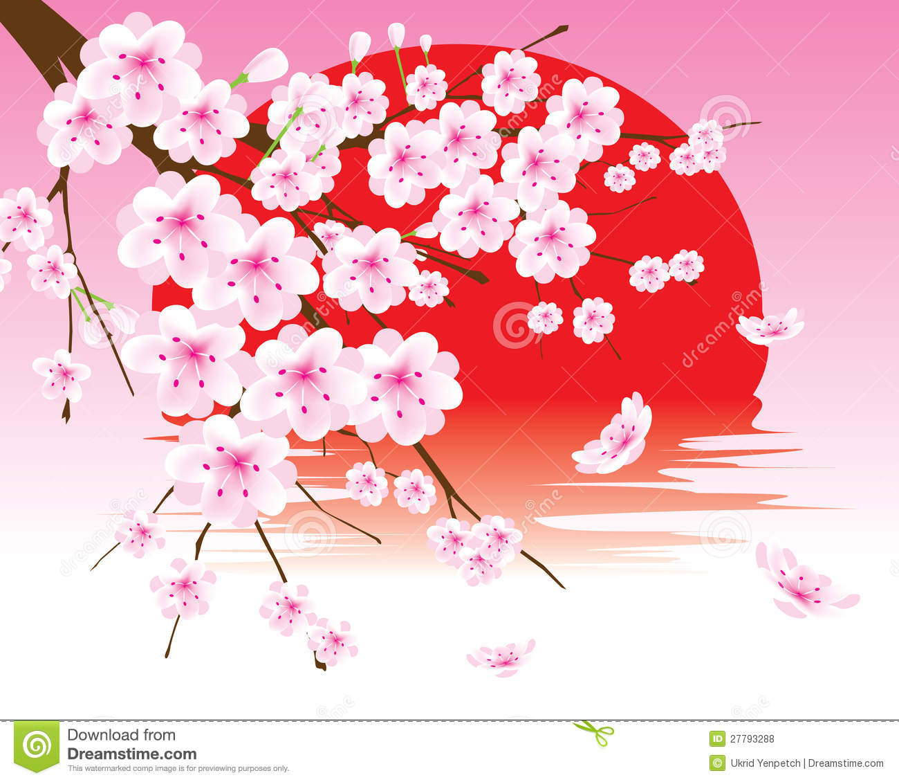 Cherry Blossom Branch Vector