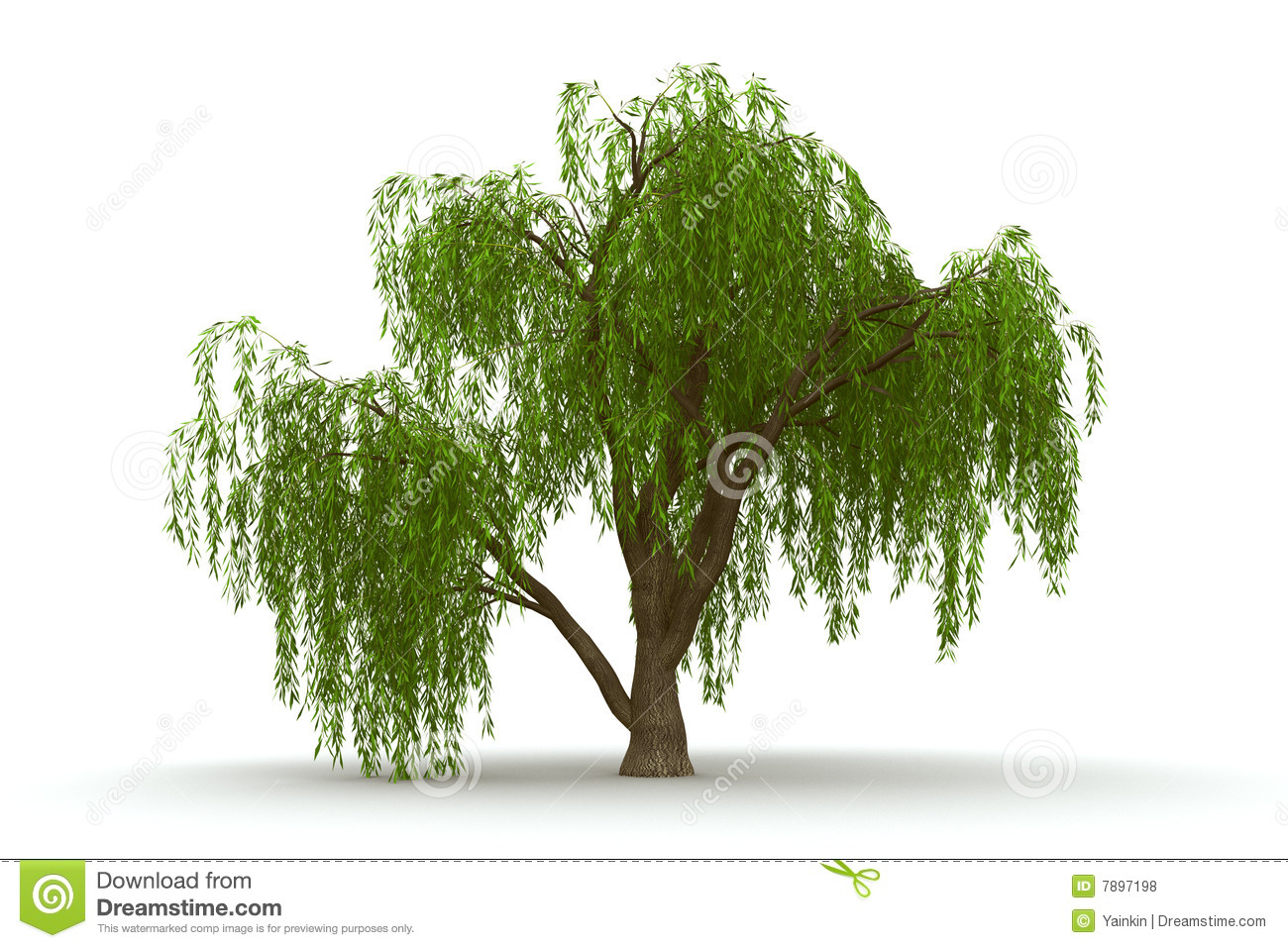 Clip Art Weeping Willow Trees