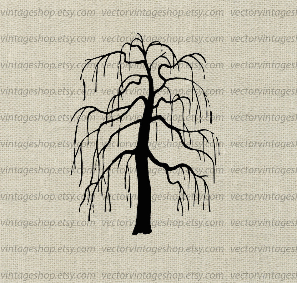 Clip Art Weeping Willow Trees