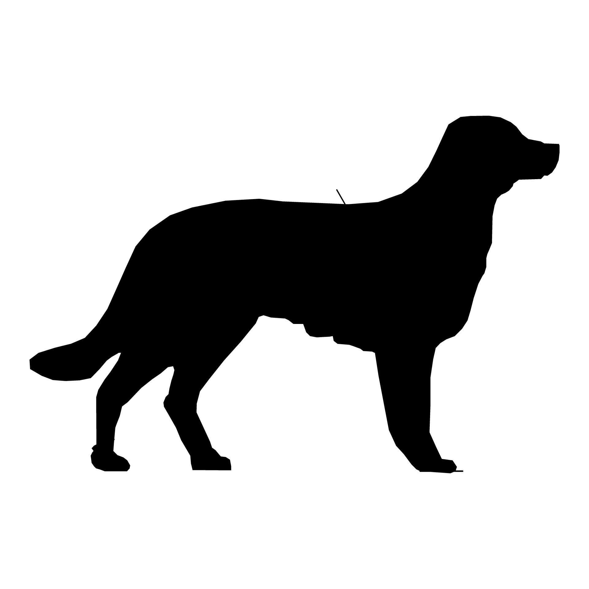 Dog Silhouette Drawings
