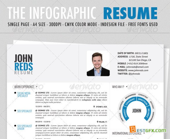 Free Resume Infographic Template