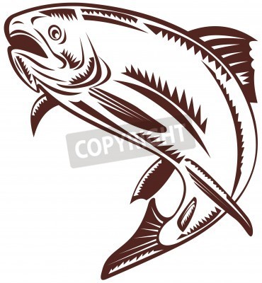 16 Trout Vector Free Images