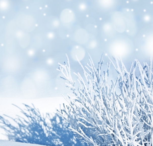 Free Winter Backgrounds Snow Free Winter Backgrounds Snow