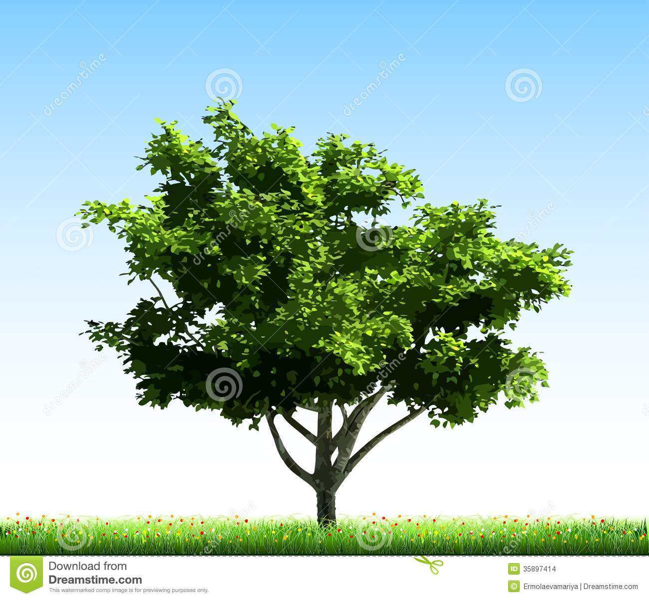 Green Grass and Trees Green Grass and Trees