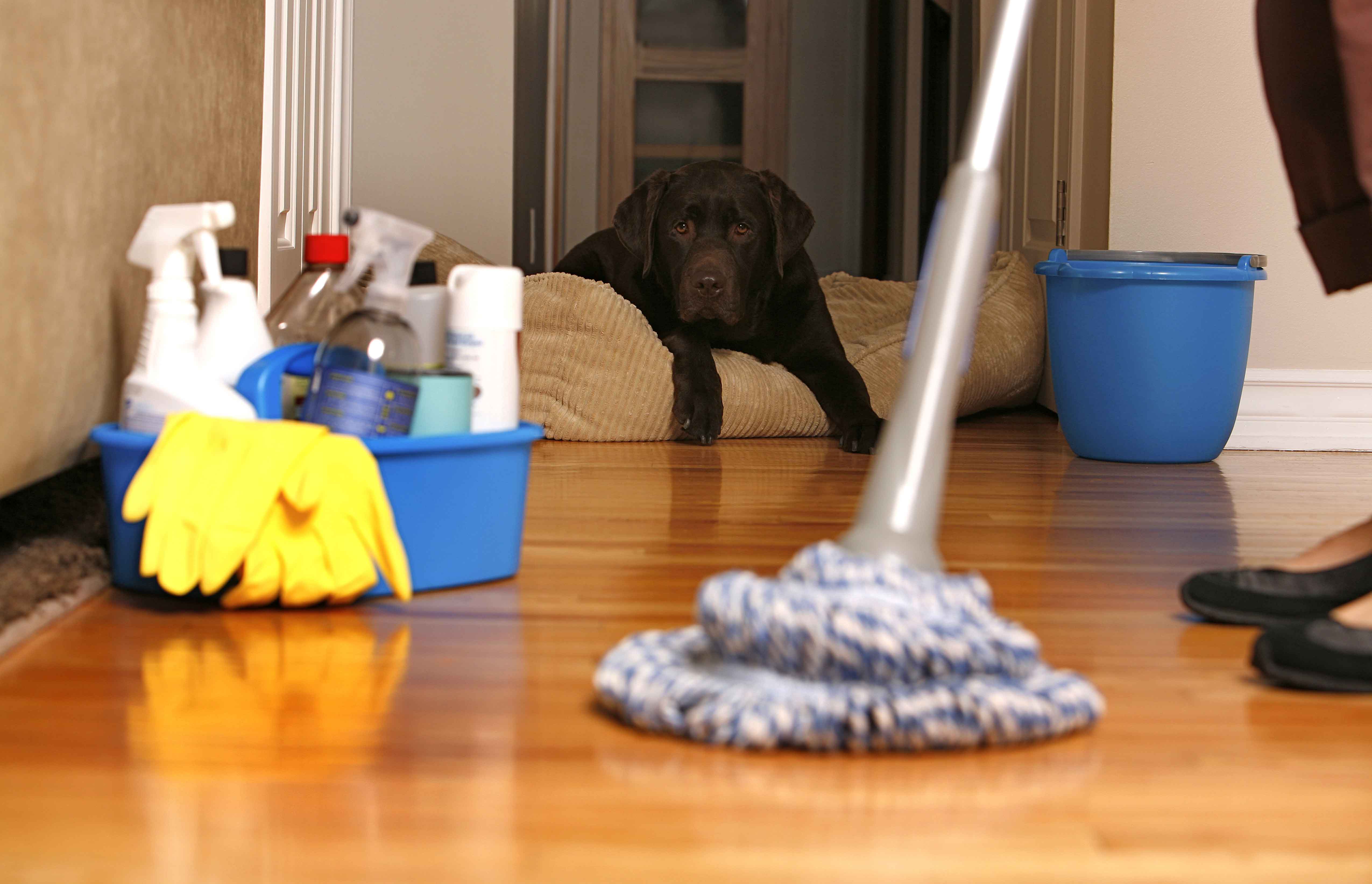 House Cleaning Services