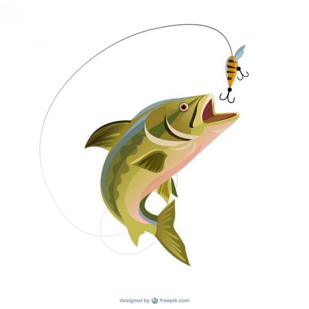 Illustration Trout Fishing