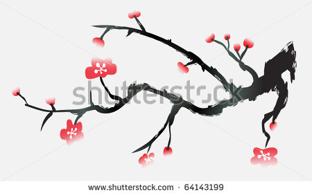 Japanese Cherry Blossom Vector