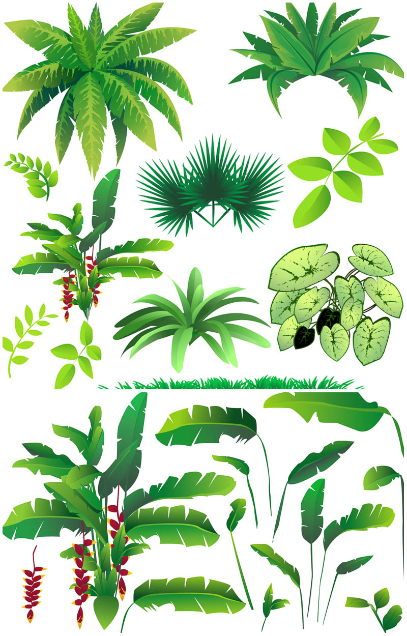 Jungle Plants Clip Art Jungle Plants Clip Art