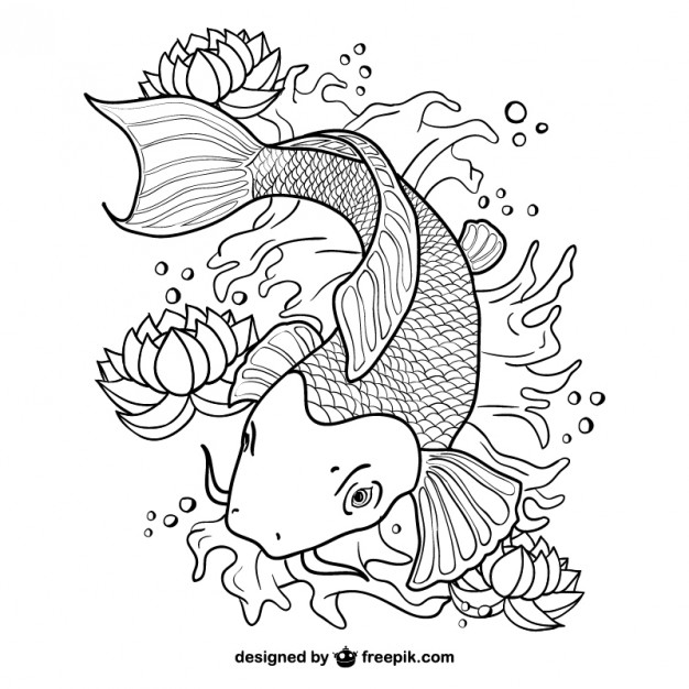 Koi Fish Line Art