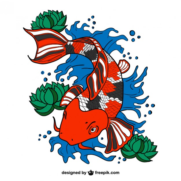 Koi Fish Vector Art