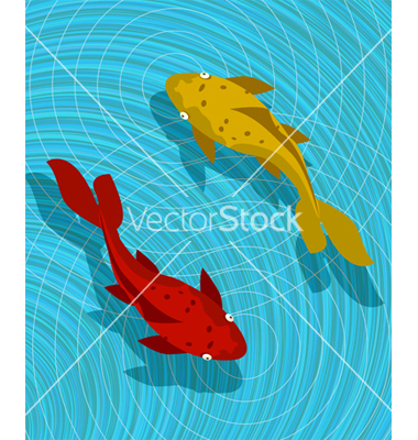 Koi Fish Vector