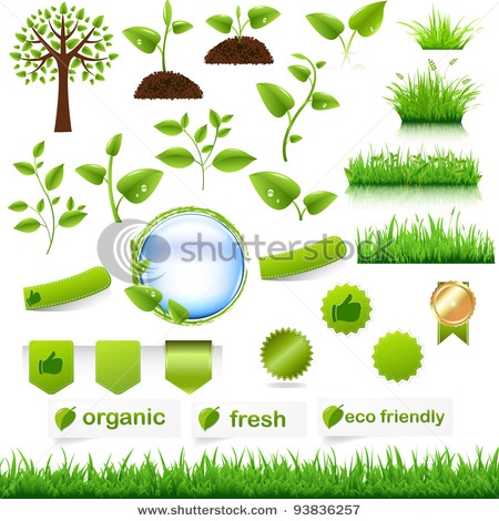 Long Green Leaves with White Sprouts Long Green Leaves with White Sprouts