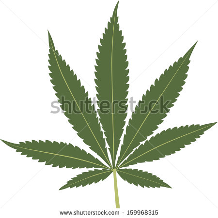 Marijuana Leaf Vector