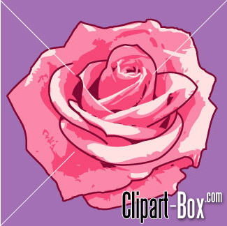 Pink Rose Clip Art