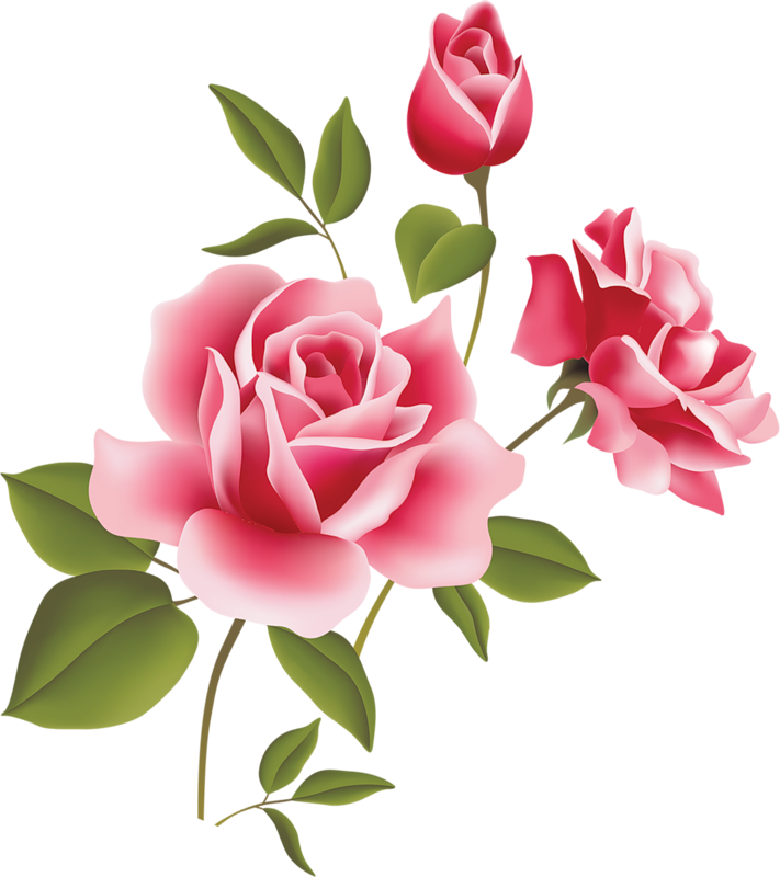 Pink Roses Clip Art Free